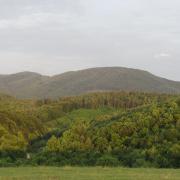 Отдых в Карпатах